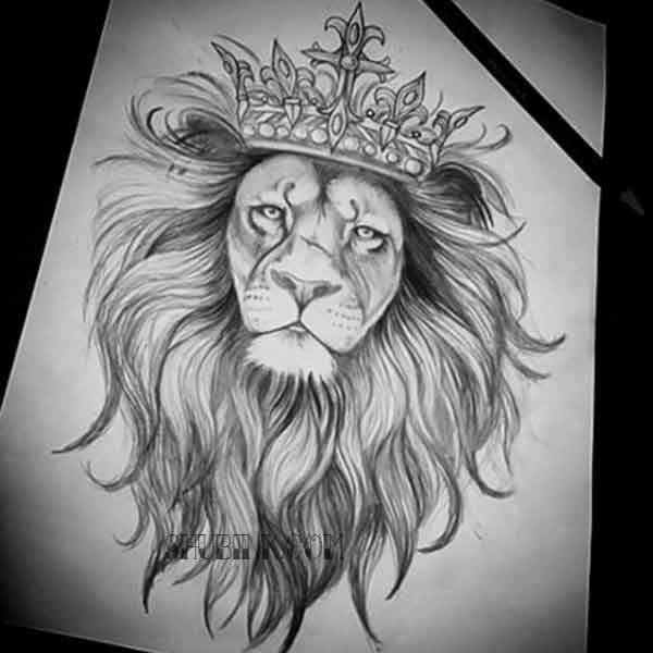 Значение татуировки лев: на левой руке, плече, ноге, груди, пальце, спине, для мужчин, девушек, с короной, знак зодиака. эскизы + 125 фото