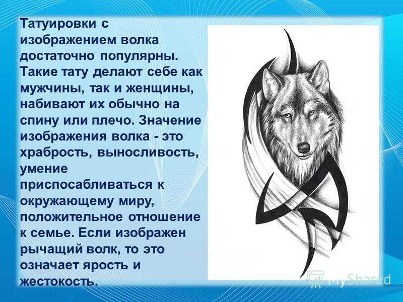 Термин обозначающий рисунок. Что означает волк. Тату волк значение. Смысл Татуировки волк. Тату волка с надписью.