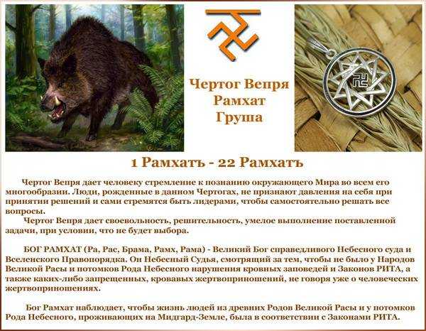 Руна медведя: у славян, тату, чертог - душевность