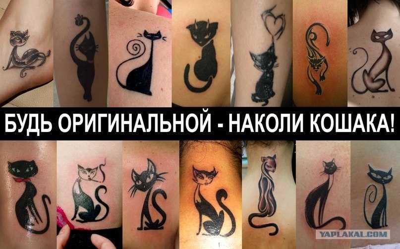 Значение татуировки кошка для девушек