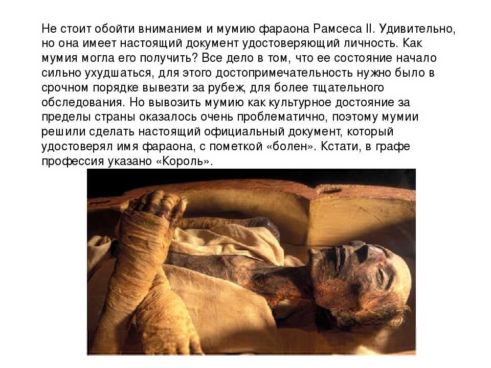 5 фактов о мумии тутанхамона, которые известны не всем - hi-news.ru