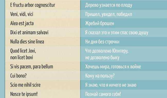 Когда я могу встретиться с яном сомерхолдером?