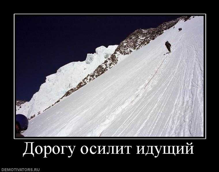 Фразы на латинском – 207 фото и эскизов в галерее!