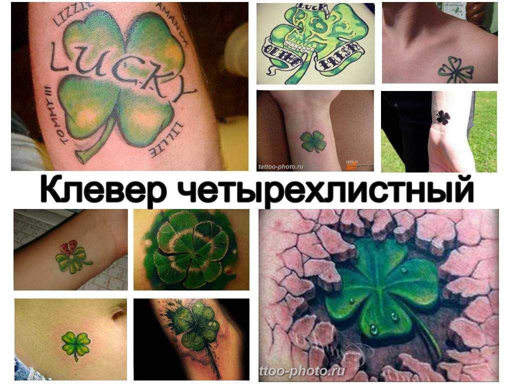 Тату клевер - эскизы, фото и значение татуировки