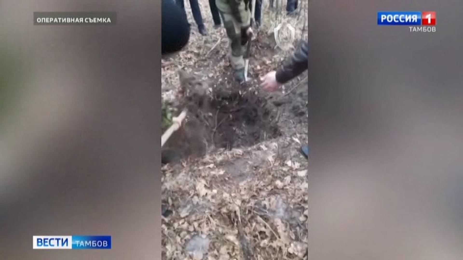Массовые самоубийства, которые произошли после смерти кумиров - zefirka