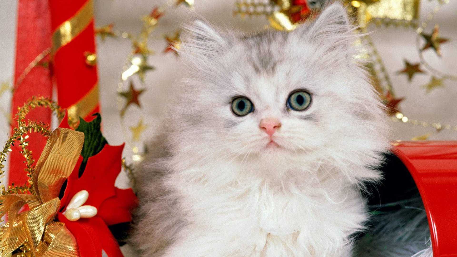 Схема вышивки крестом новогодние котята