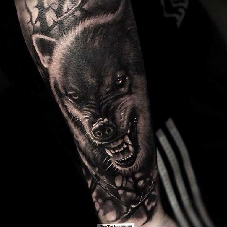 Тату волк - значение и эскизы татуировки с волком | tattoo-ideas.ru