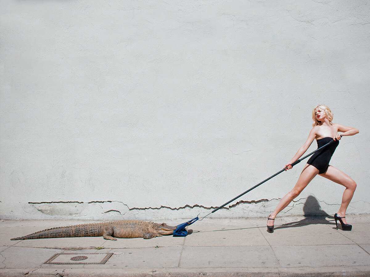 Tyler shields celebrity news and gossip | entertainment, photos and videos | just jared: celebrity news and gossip | entertainment