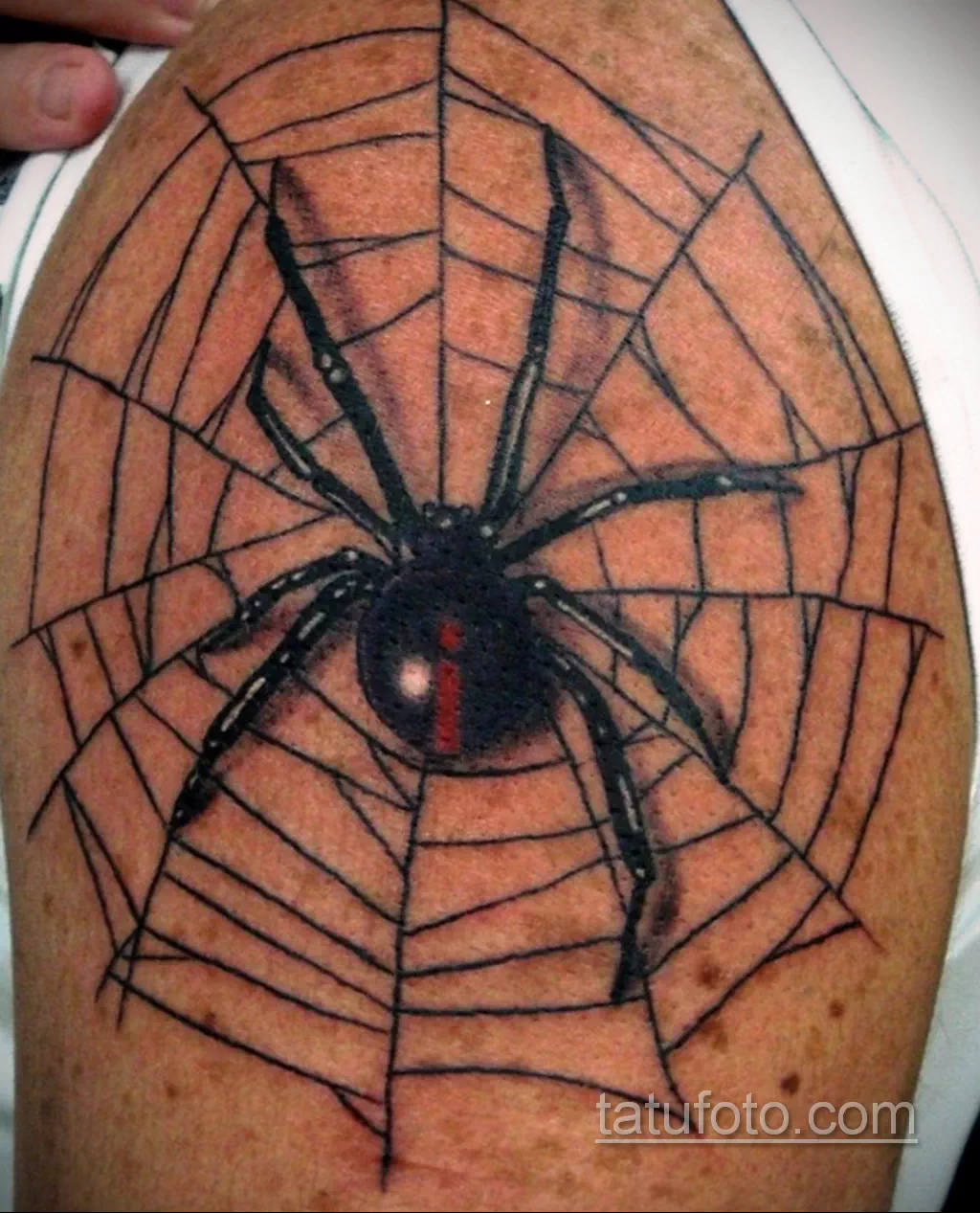 Тату паук у мужчины. Тату паук блэкворк. Тату паук в паутине. Татуировка паука на руке. Тату паук на плече.