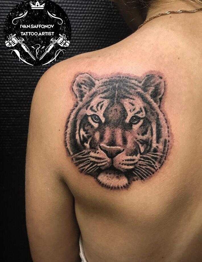 Значение тату тигра для мужчин: с оскалом, на руке, плече, груди, спине, предплечье, ноге, с драконом, голова, белый. эскизы + 150 фото