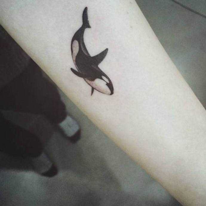 Tattoo • значение тату: касатка