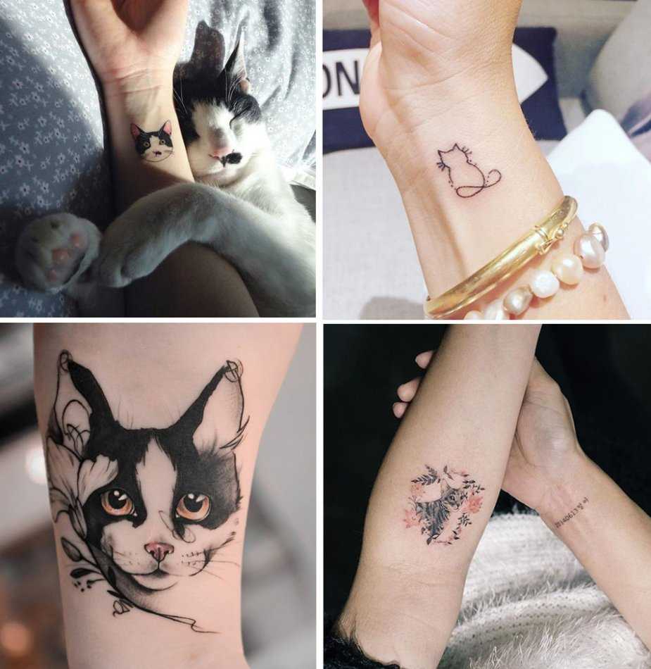 Что означает татуировка кота на теле: история. наколка кот — ее значение в криминальной среде. татуировка для мужчин и девушек — кошка: примеры, фото, эскизы, видео