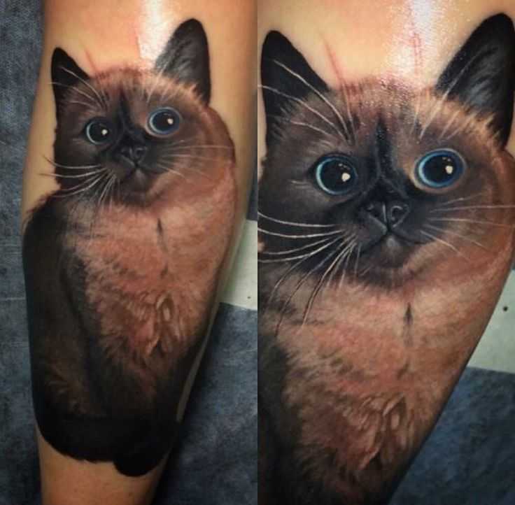 Тату кошка в каталоге drawinks 3131 фото, значение