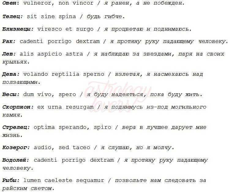 Эскизы тату для девушек на руку. маленькие надписи, цветы, геометрия, браслет