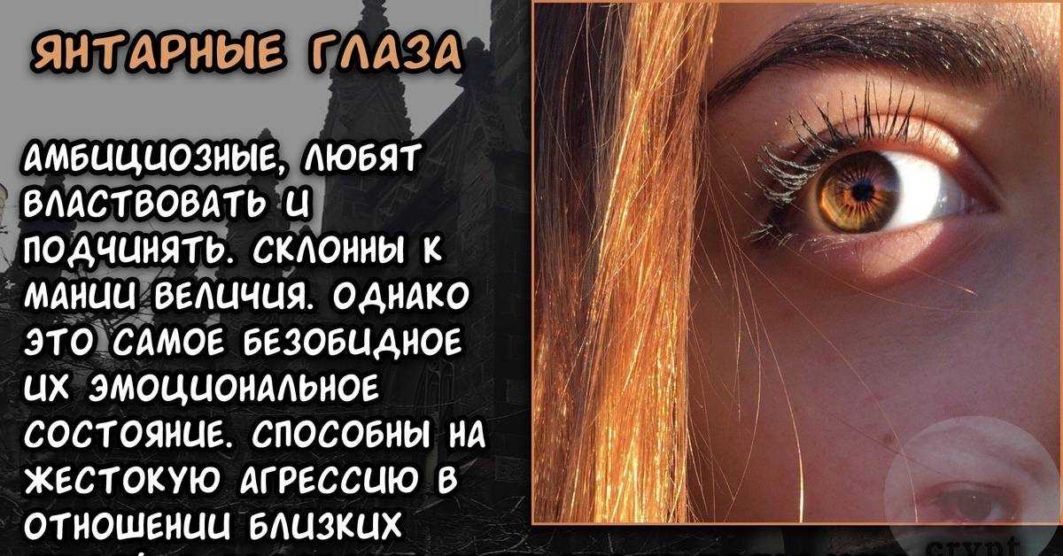 Милош бикович и еще 5 красивых сербов, которых любят наши женщины
