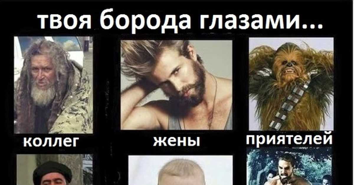 Все что нужно знать о бороде или ода брадости