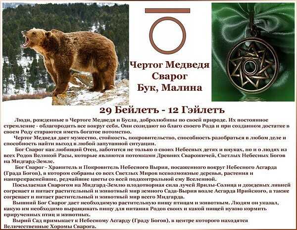 Тату медведь на плече - лучшие мужские татуировки с медведем