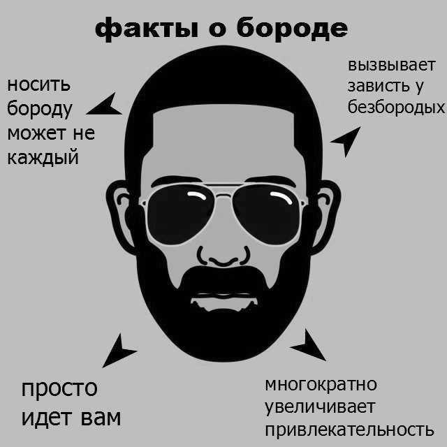 Стоит ли мужчине отращивать бороду: плюсы и минусы | плюсы и минусы