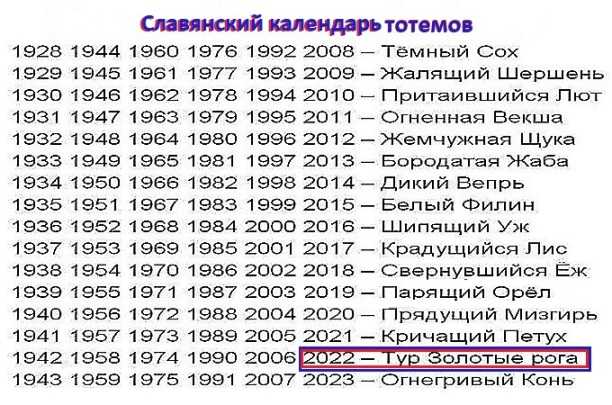 2022 год по восточному календарю и китайскому гороскопу: год водяного тигра