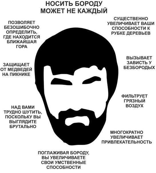 Густая борода — признак силы и мужества? ученые считают, что это не так