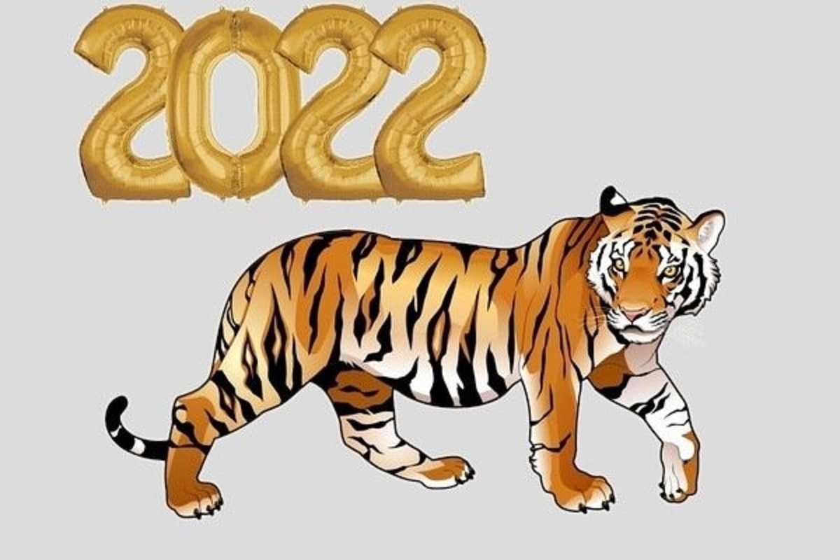 В каком цвете встречать 2022 год тигра