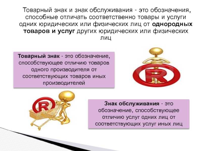 Компромат на автора ультра-реалистичного шутера unrecord, женские гениталии в cs: go — самое интересное за 27 апреля