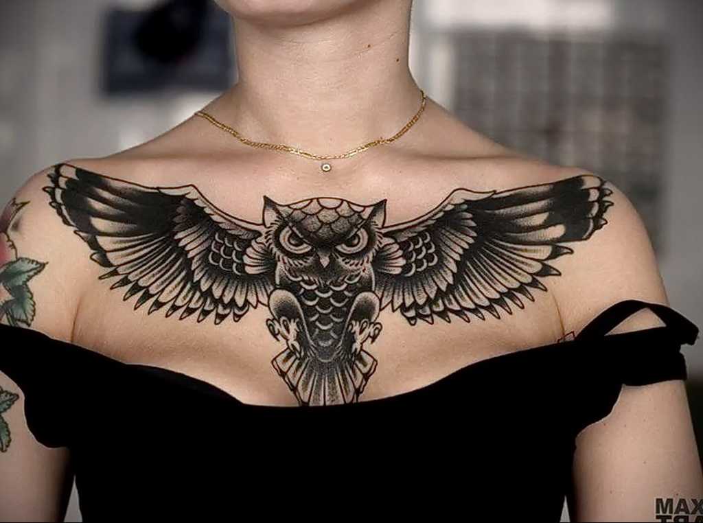 Тату сова🦉: значение для девушек и мужчин